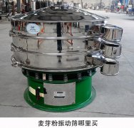 麥芽粉振動篩哪里買