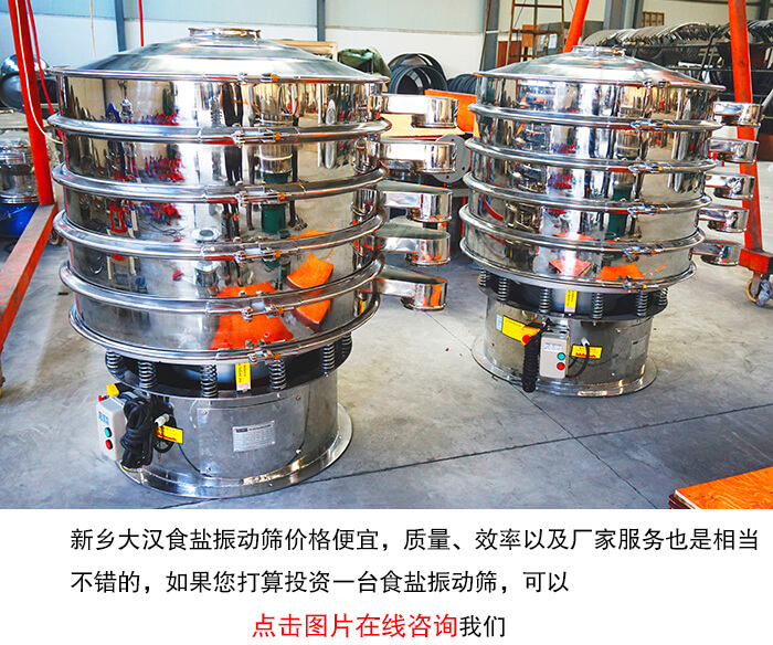 大漢食鹽振動篩廠家
